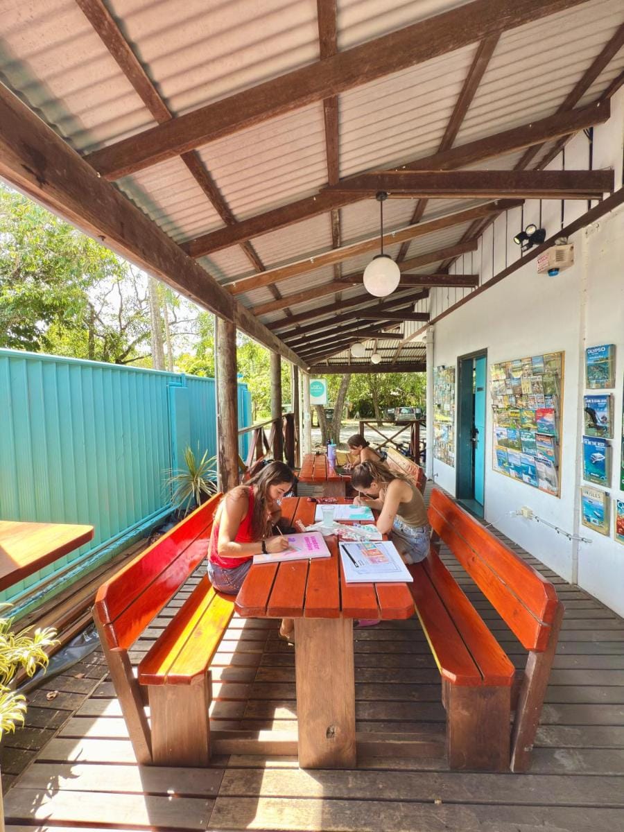Port Douglas Backpackers Hostel in Port Douglas