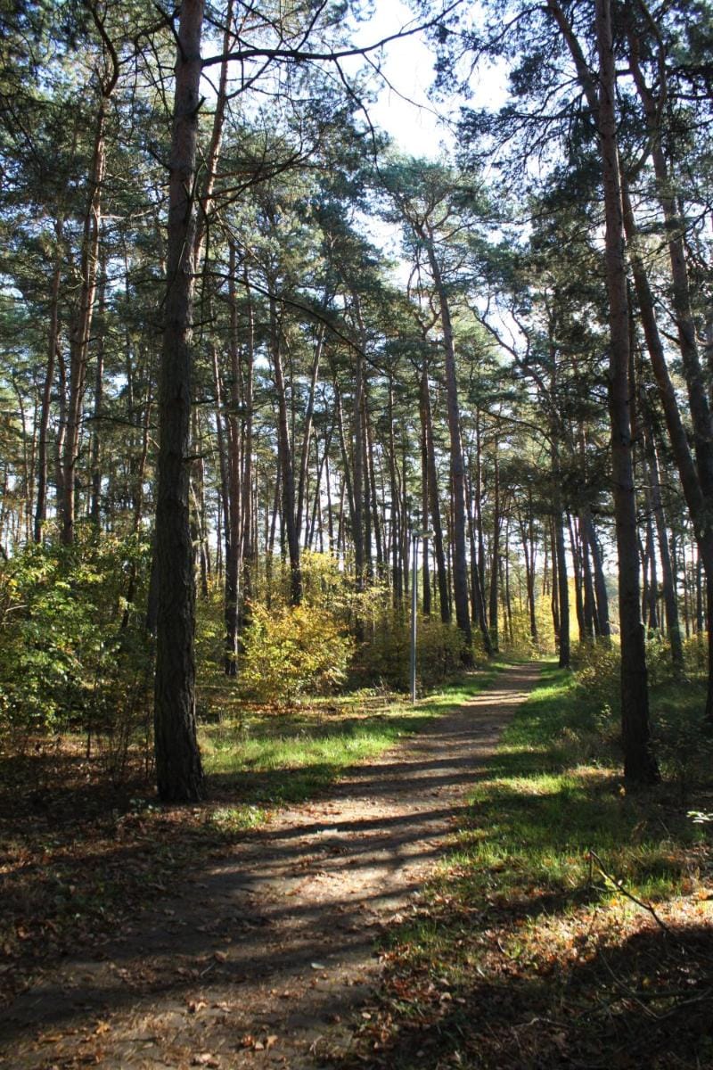 Heide-Camp Colbitz Vacation rental in Saxony-Anhalt, Germany