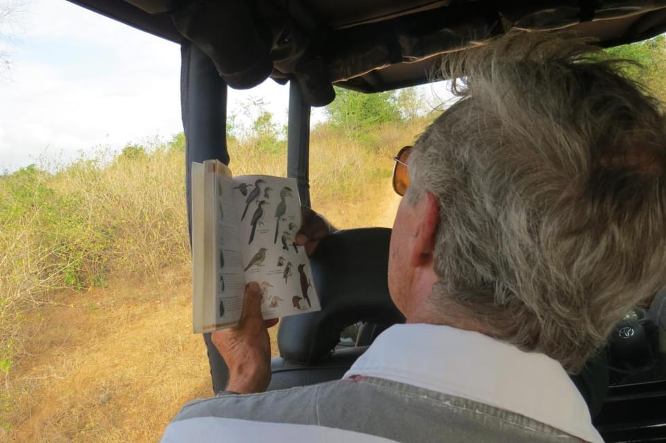 Big Game Yala - by Eco Team Campground/ 
RV Resort in Southern Province