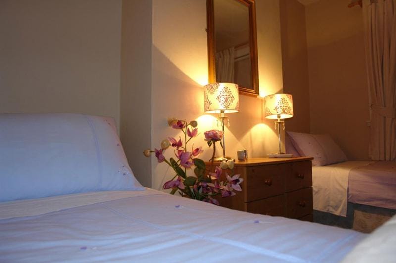 Annandale House Bed and Breakfast in Dublin