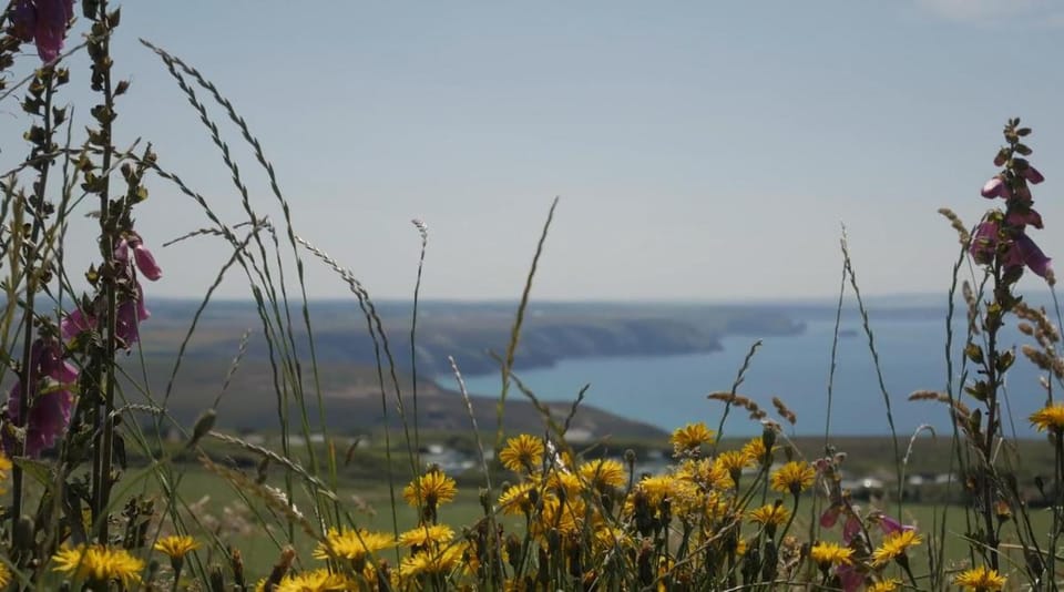 Beacon Country House Hotel Hotel in St Agnes