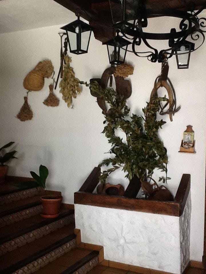 Hotel Posada San Antonio Hotel in Sierra de Cádiz