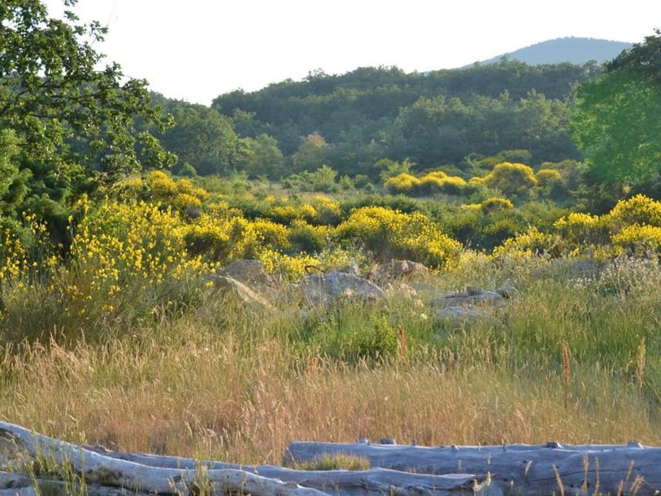 La Devinière Bed and Breakfast in Provence-Alpes-Côte d'Azur