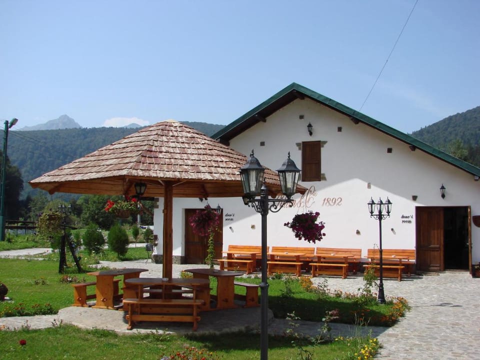Pensiunea Rhein Bed and Breakfast in Prahova, Romania