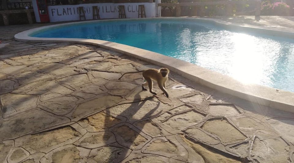 Flamingo Villas Resort Resort in Malindi