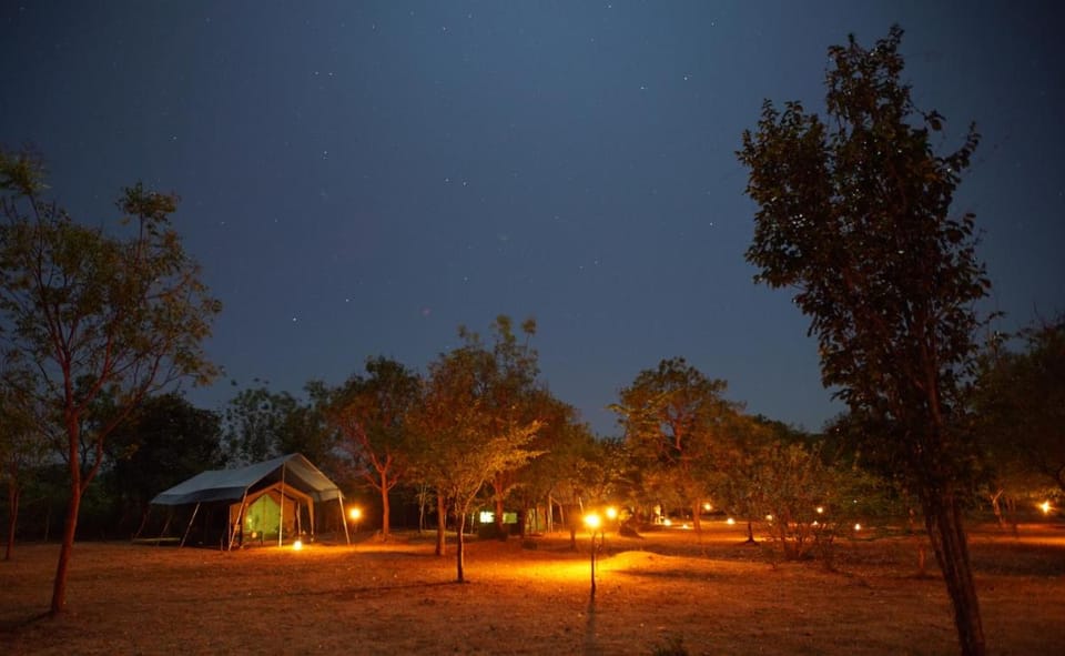 Big Game Udawalawe - by Eco Team Campground/ 
RV Resort in Southern Province