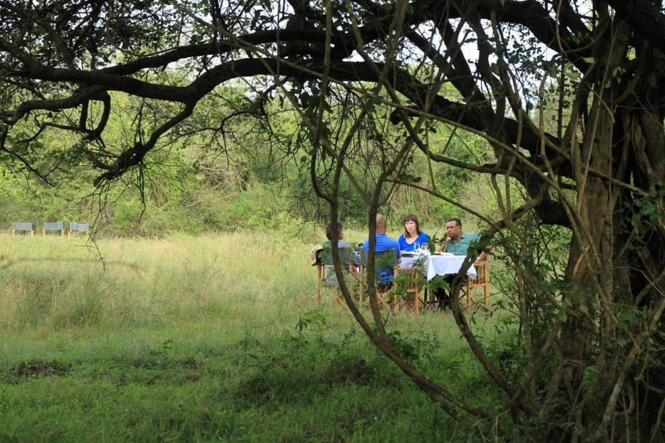 Big Game - Wilpattu by Eco Team Luxury tent in Sri Lanka