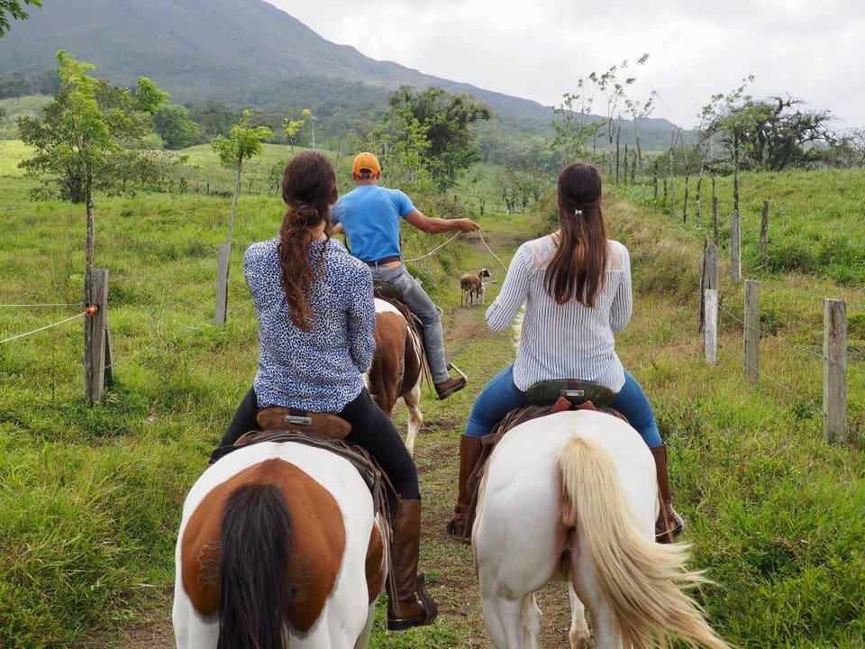 Arenal Paraiso Resort & Spa Hotel in Alajuela Province