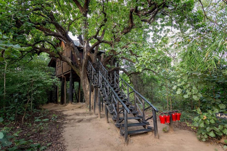 Pugdundee safaris - Tree House Hideaway Hotel in India