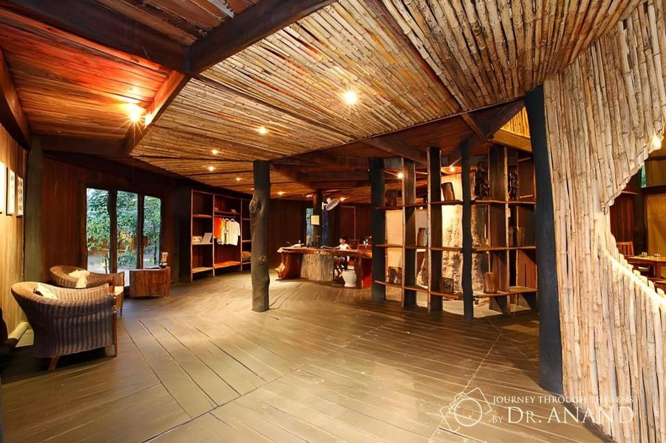 Pugdundee safaris - Tree House Hideaway Hotel in India
