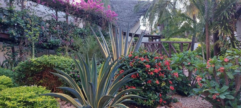Kena Beach Hotel Resort in Matemwe