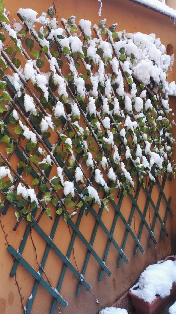 B&B Calamatta Bed and Breakfast in Rome