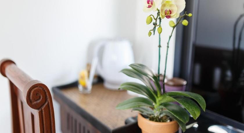 La Pillow8 Guesthouse Bed and Breakfast in Chiang Mai