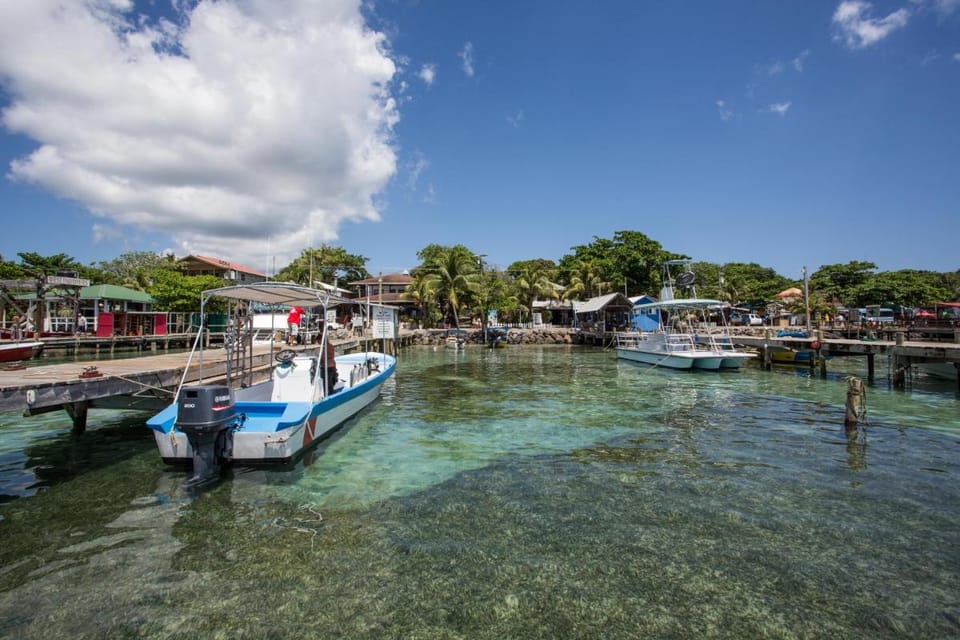 Splash Inn Dive Resort & Villas Hotel in West End