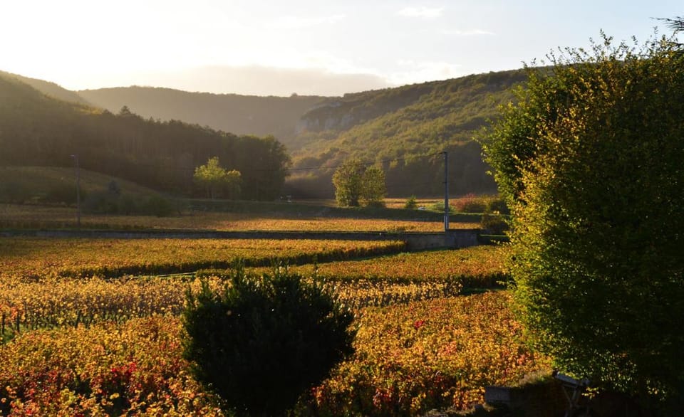Hôtel Les Deux Chèvres Gevrey-Chambertin Hotel in Bourgogne-Franche-Comté