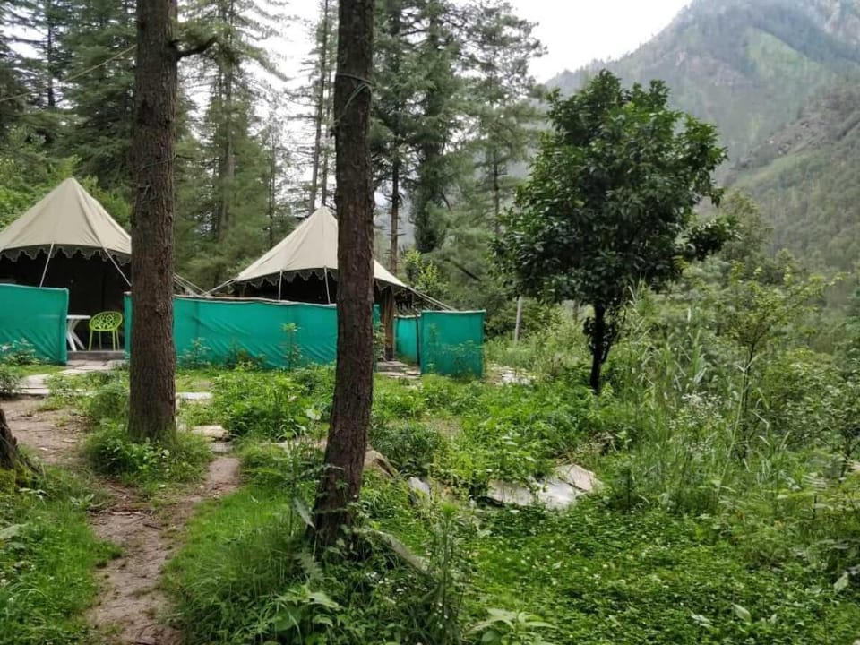 Parvati Kuteer Hotel Hotel in Himachal Pradesh