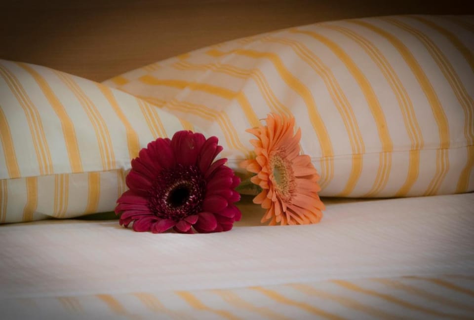 On The Rainbow B&B Bed and Breakfast in Rome
