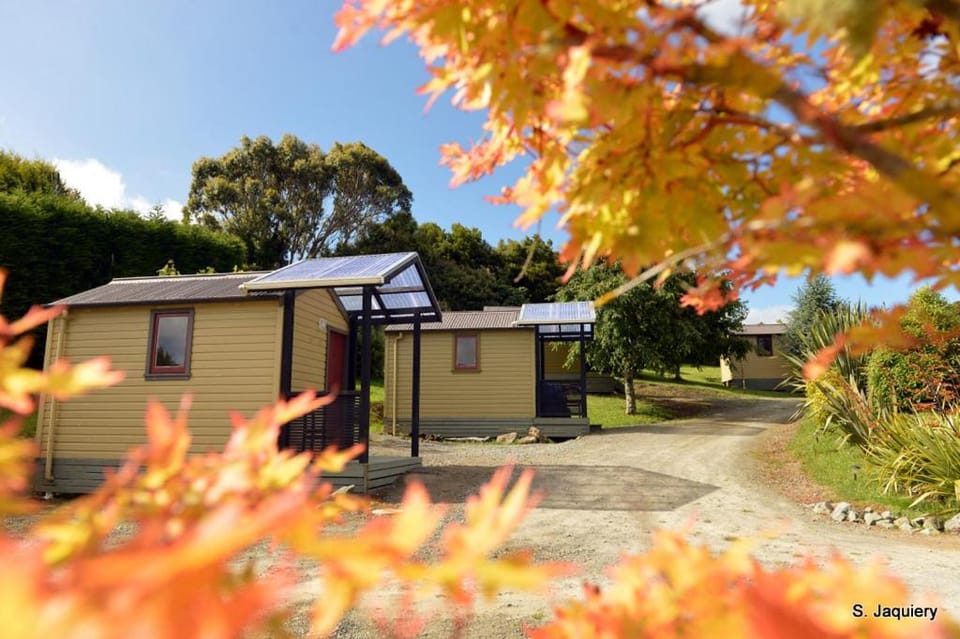 The Whistling Frog Resort Campground/ 
RV Resort in Otago