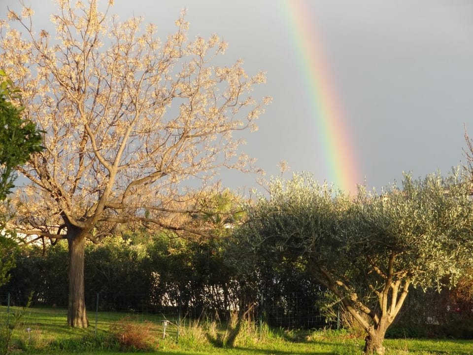La Casa Nert Bed and Breakfast in Catalonia