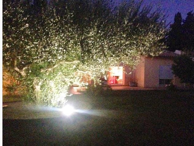 La Casa Nert Bed and Breakfast in Catalonia