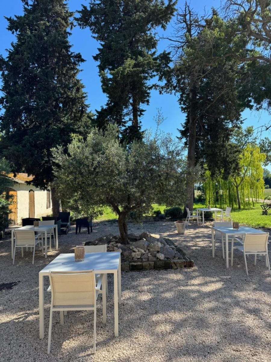 Le Mas d'Eymard Bed and Breakfast in Arles