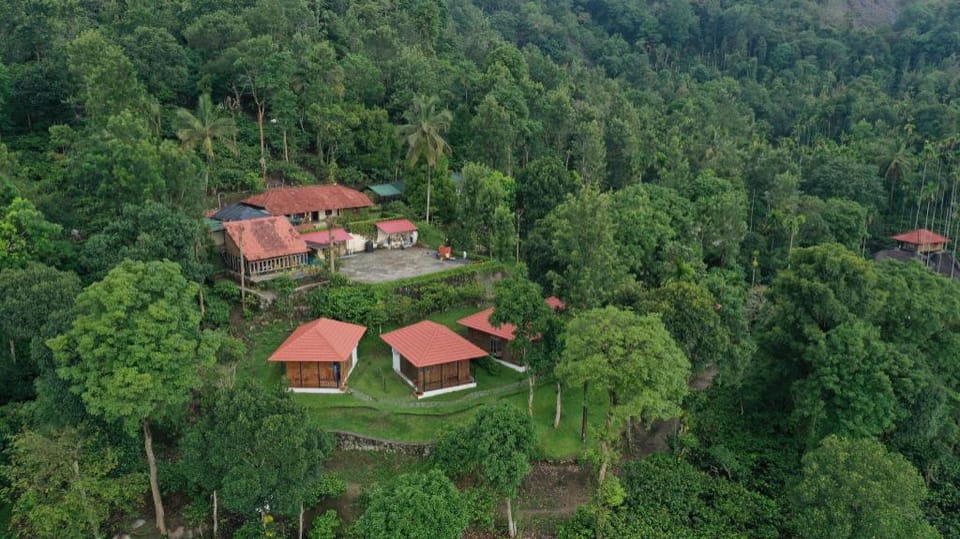 Avadale Wayanad (Stag Groups Not Allowed) Resort in Kerala
