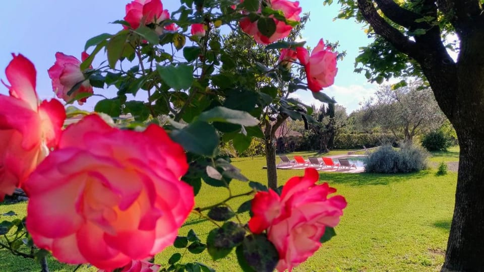 L'Escale Provençale Bed and Breakfast in Fayence