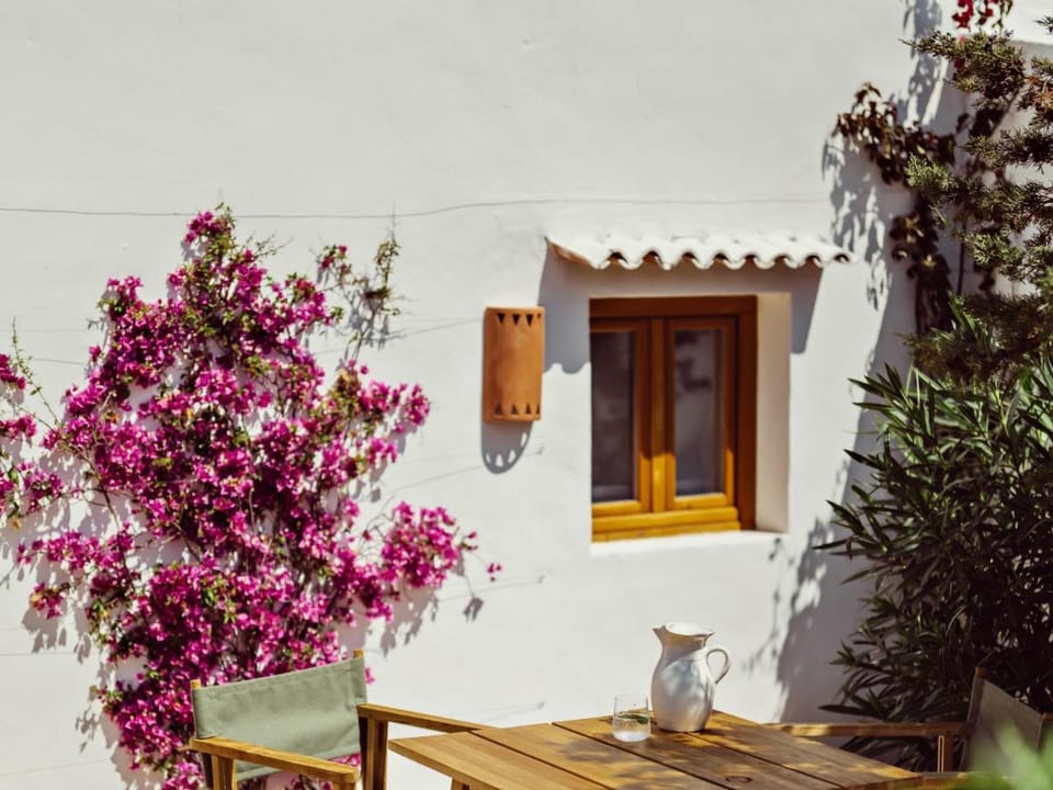 Petunia Ibiza, a Beaumier hotel Hotel in Ibiza