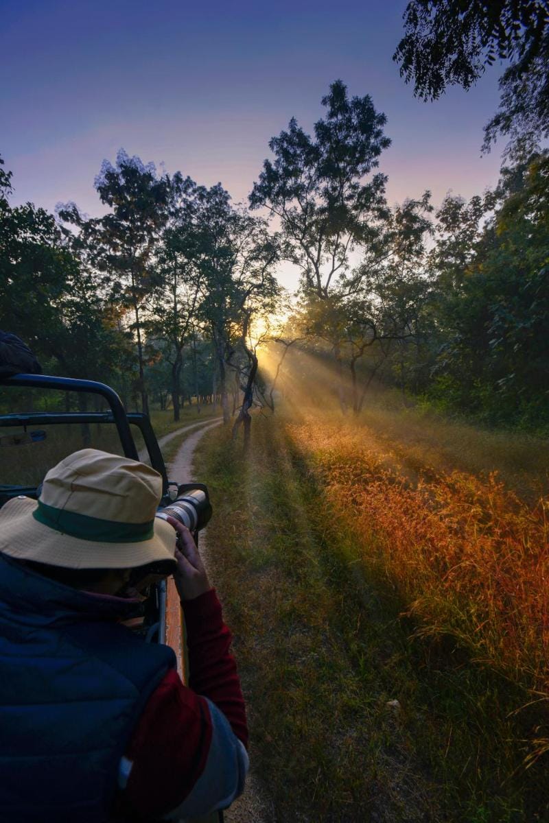 Pench Jungle Camp Resort in Maharashtra