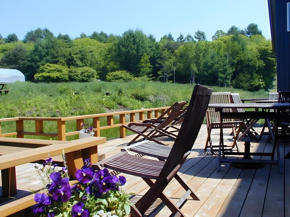 Blue in Green Hotel in Nagano Prefecture