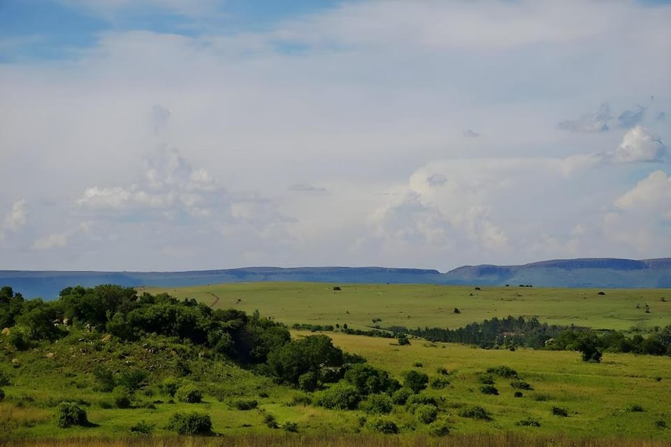 Blue Roan Country Lodge Hotel in Gauteng
