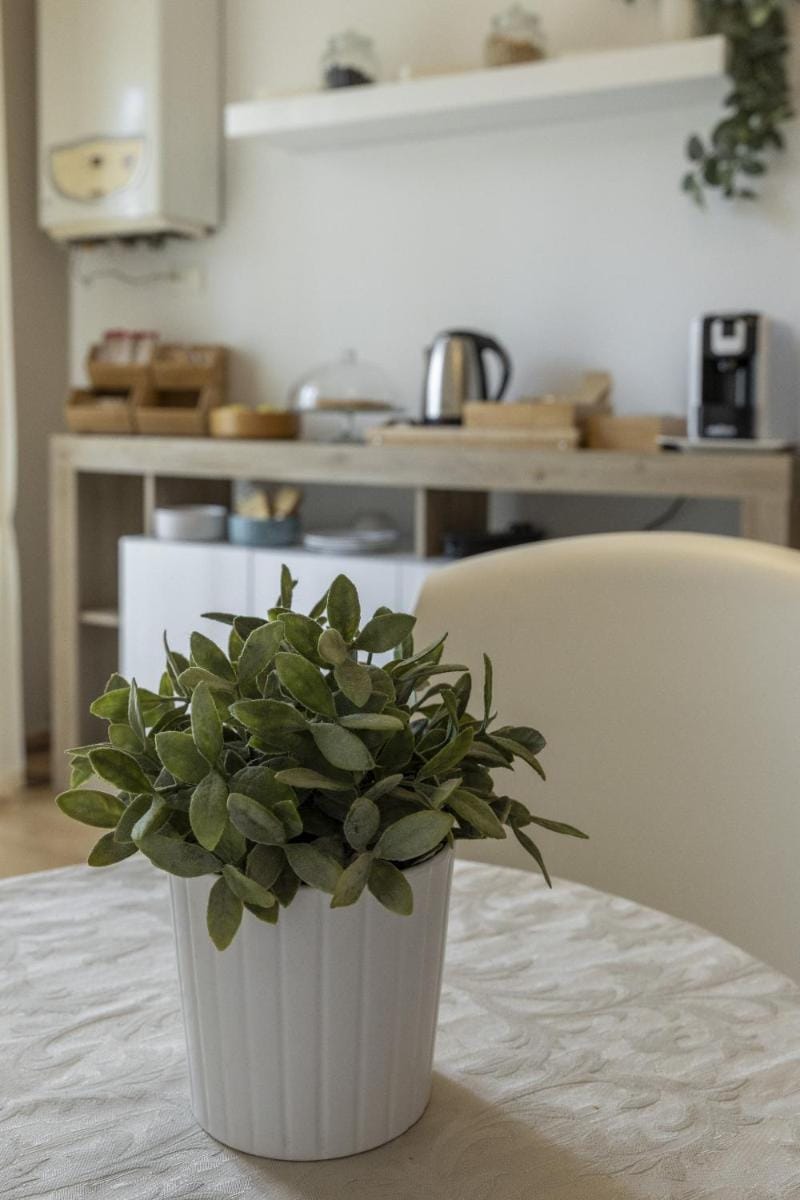 B&B Mariclà Bed and Breakfast in Verona