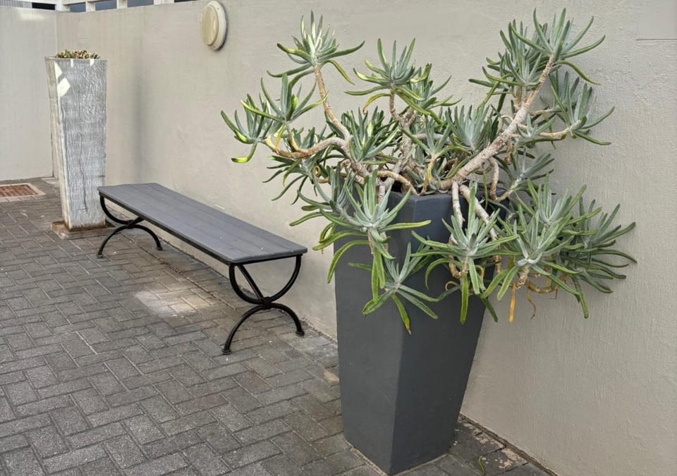 Sir Roys at the Sea Bed and Breakfast in Port Elizabeth