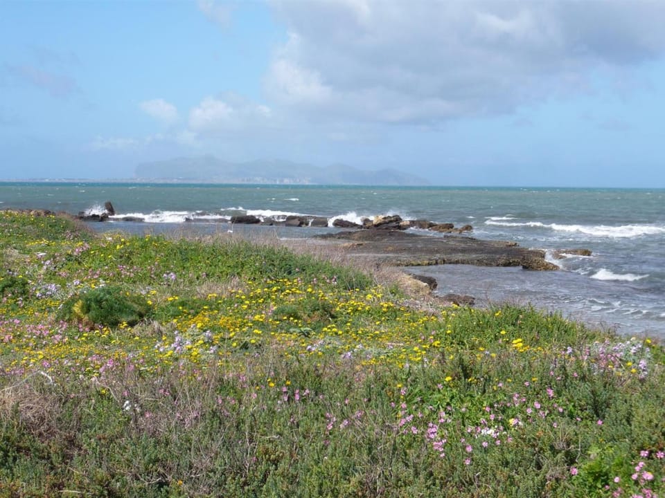 Laguna dei Fenici Bed and Breakfast in Marsala