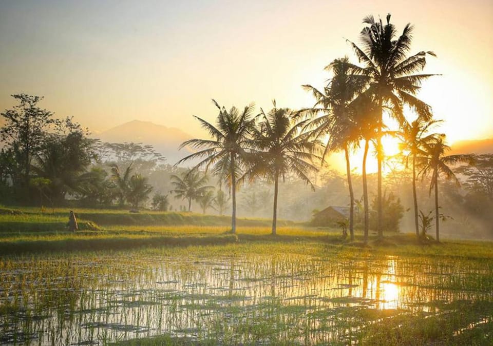 Villa Puri Darma Agung Campground/ 
RV Resort in Tampaksiring