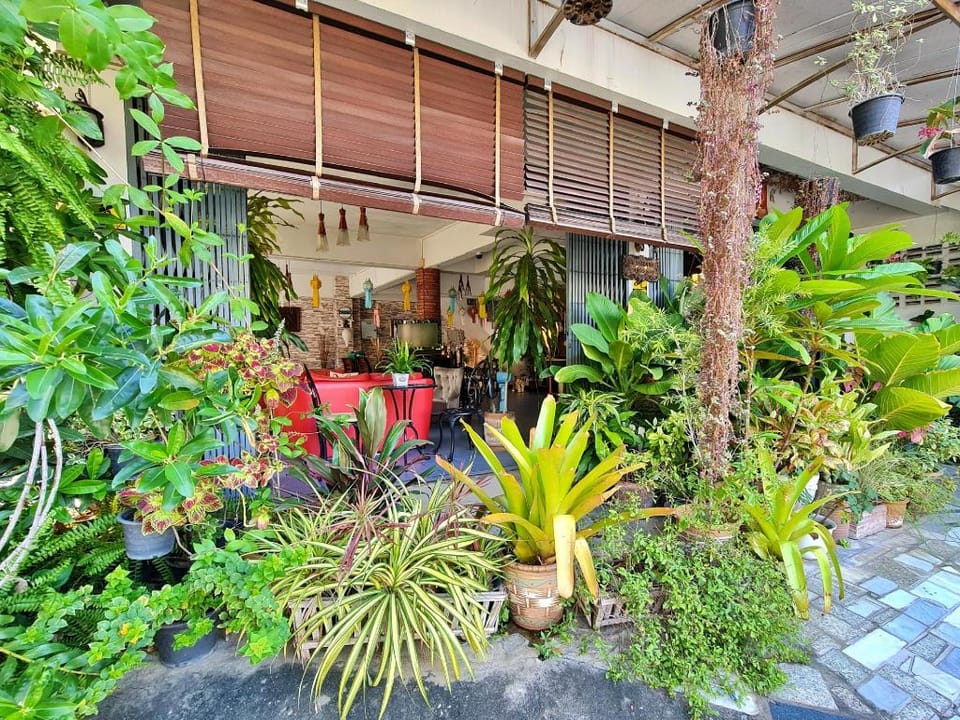 Bed and Terrace Guesthouse Hotel in Chiang Mai