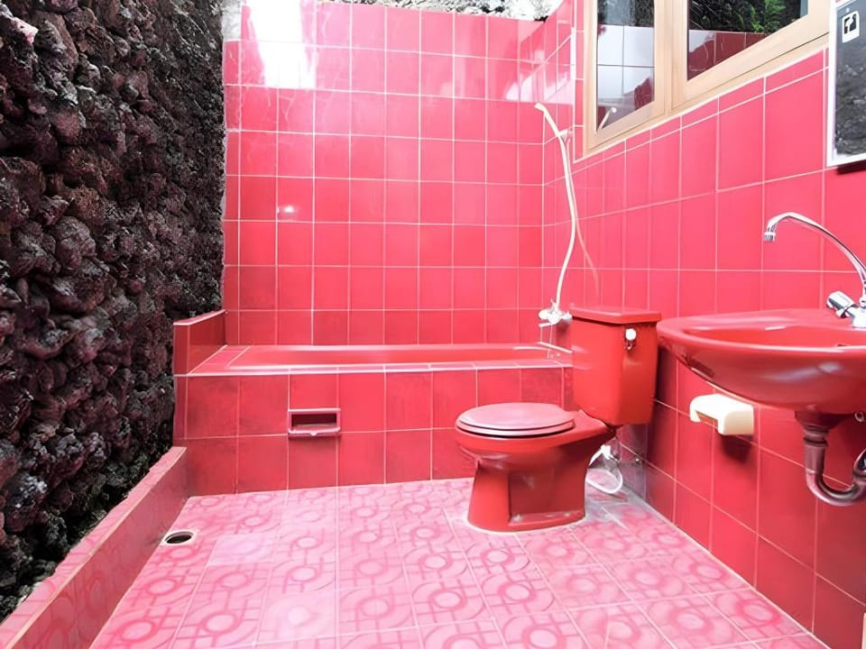 Tungeh Inn Hotel in Ubud