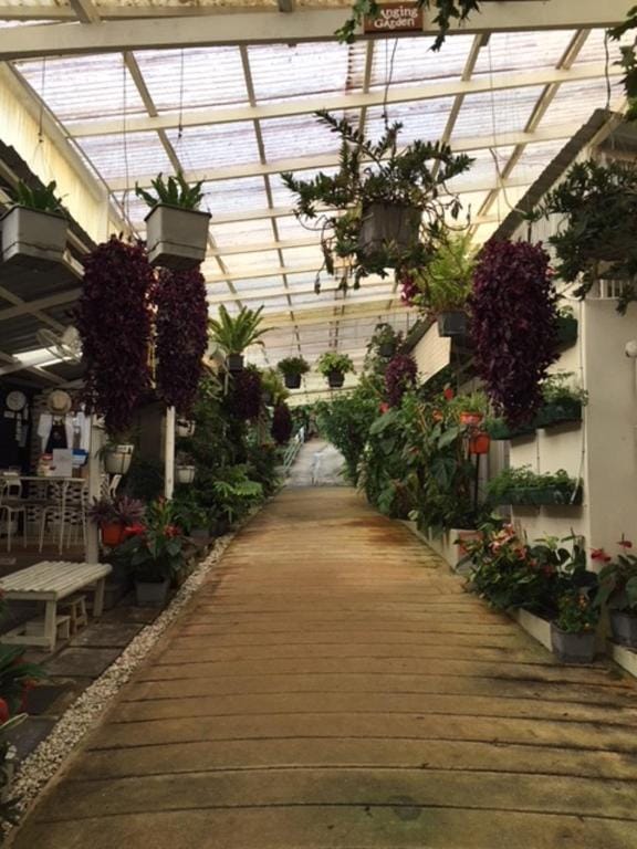 Moonriver Lodge Farm Stay in Cameron Highlands