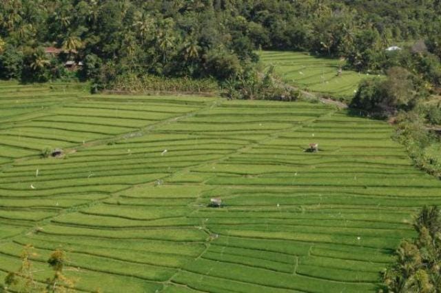Aditya Homestay Vacation rental in Bali
