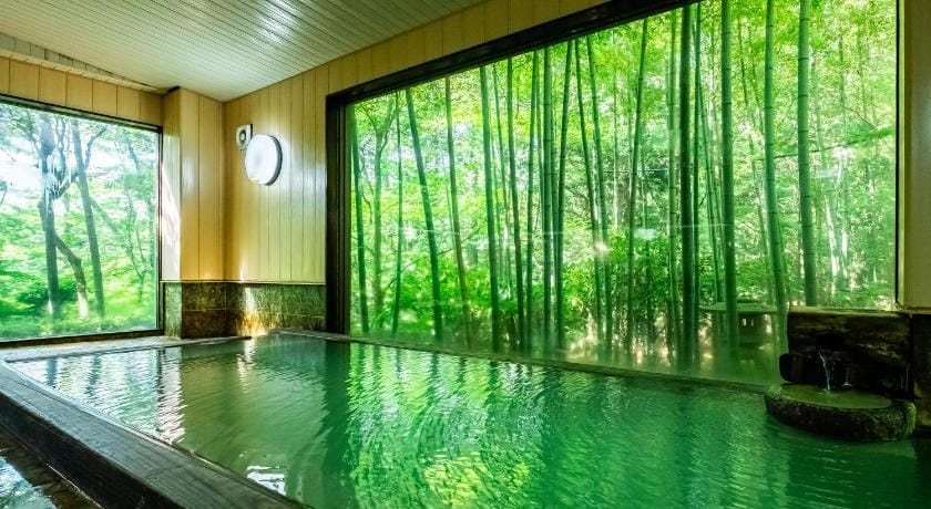 Hakone Onsen Sanso Nakamura Ryokan in Hakone