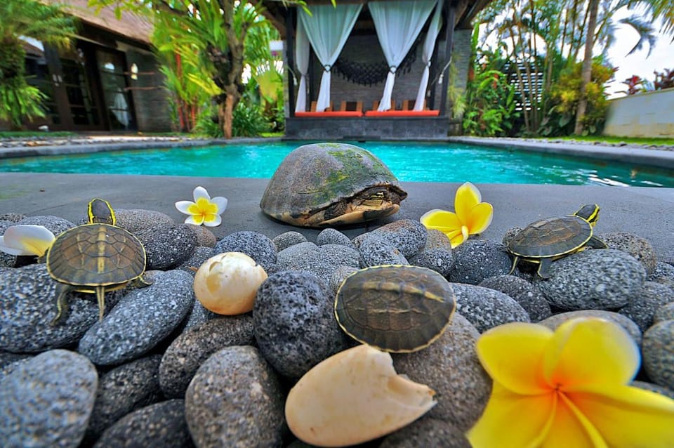 The Zala Villa Villa in North Kuta