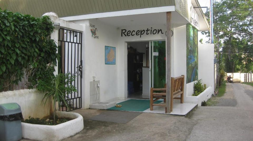 Alona Gecko Inn Hotel in Panglao