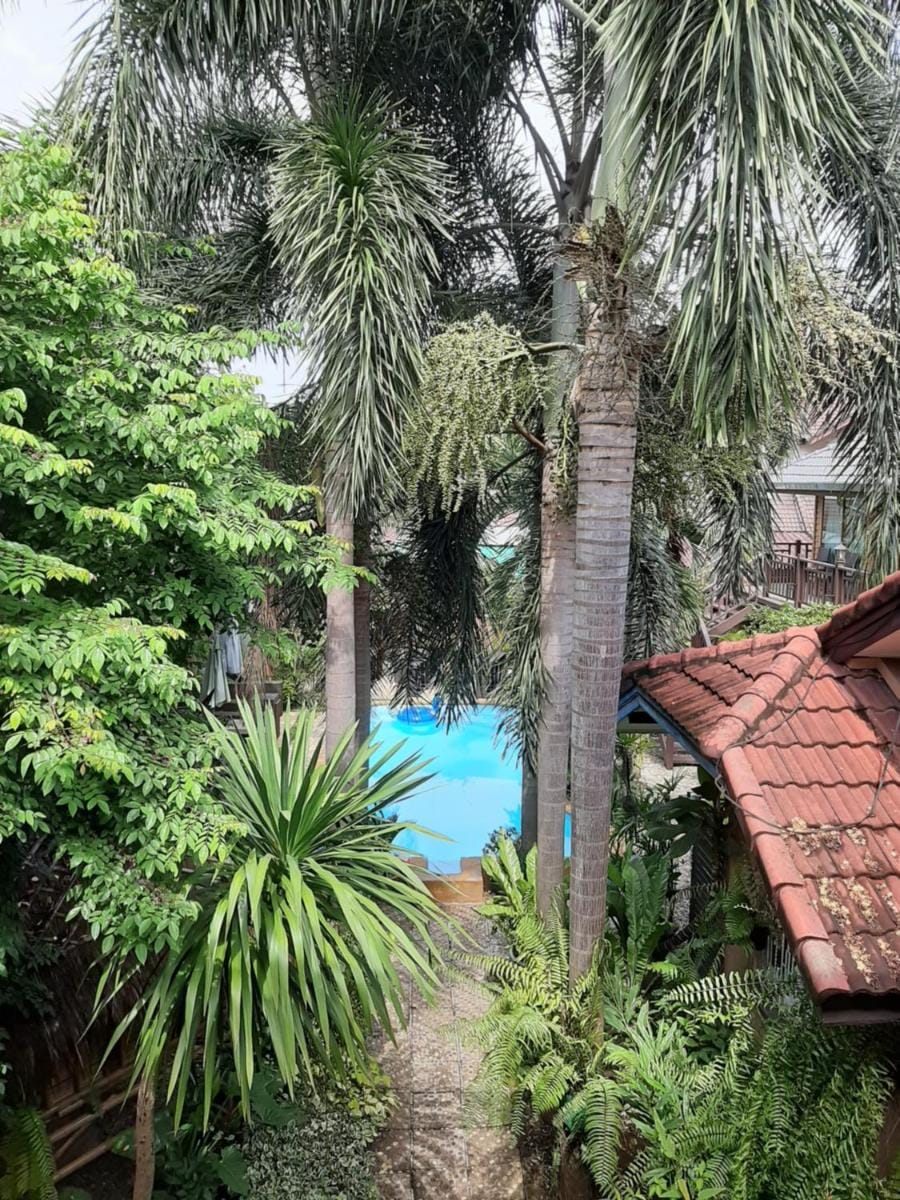 Liam's Guesthouse Adults Only Inn in Chiang Mai