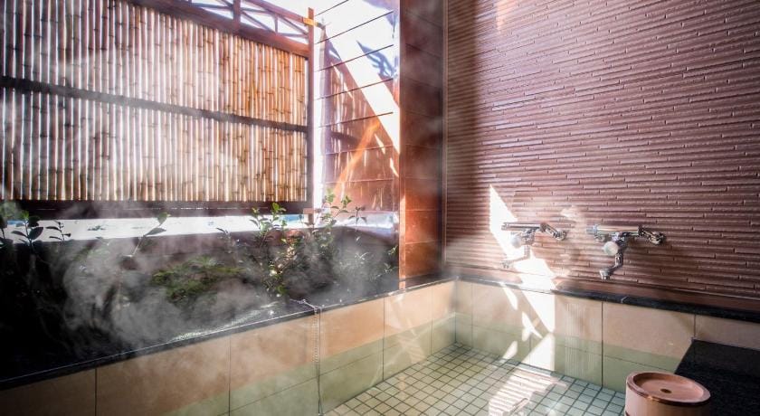 Hotel Yachiyo Ryokan in Japan