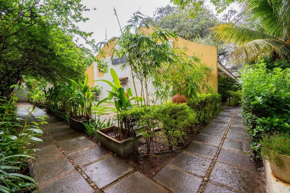 The Banyan Soul Bed and Breakfast in Baga