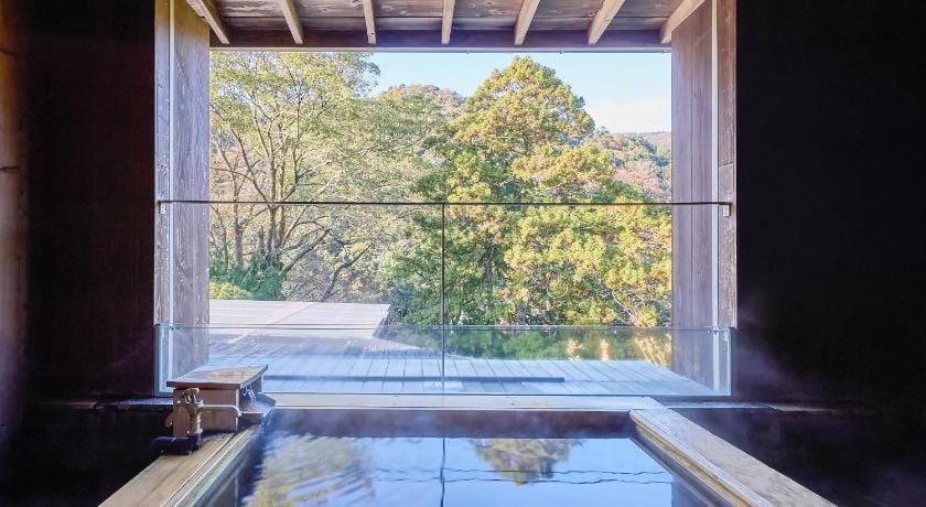 Seikansou Ryokan in Hakone