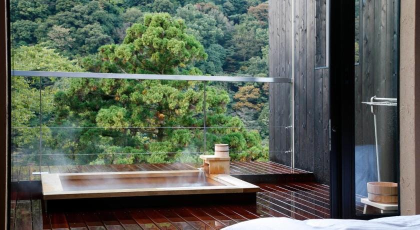 Seikansou Ryokan in Hakone