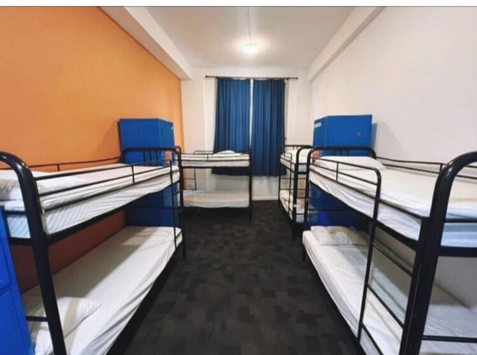 Big Hostel Hostel in Surry Hills
