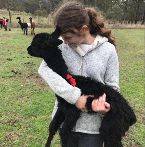 Starline Alpacas Farmstay Resort Resort in Broke