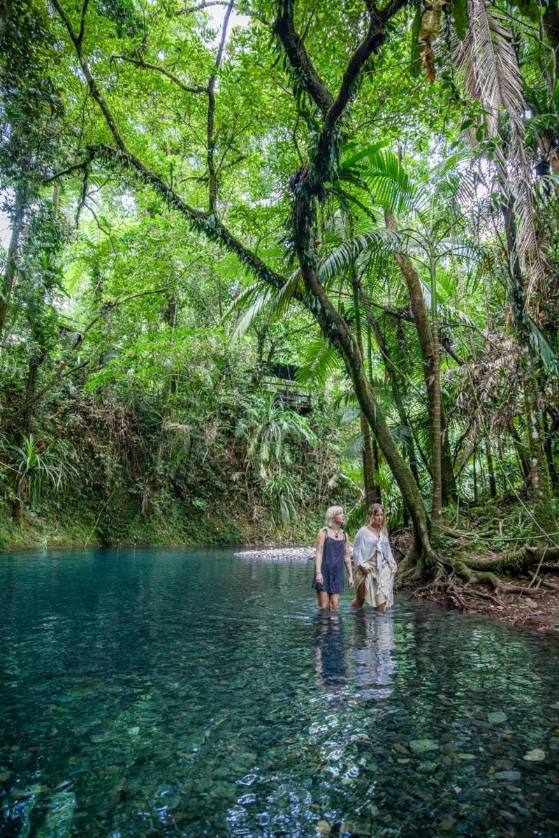 Heritage Lodge - in the Daintree Lodge in Diwan